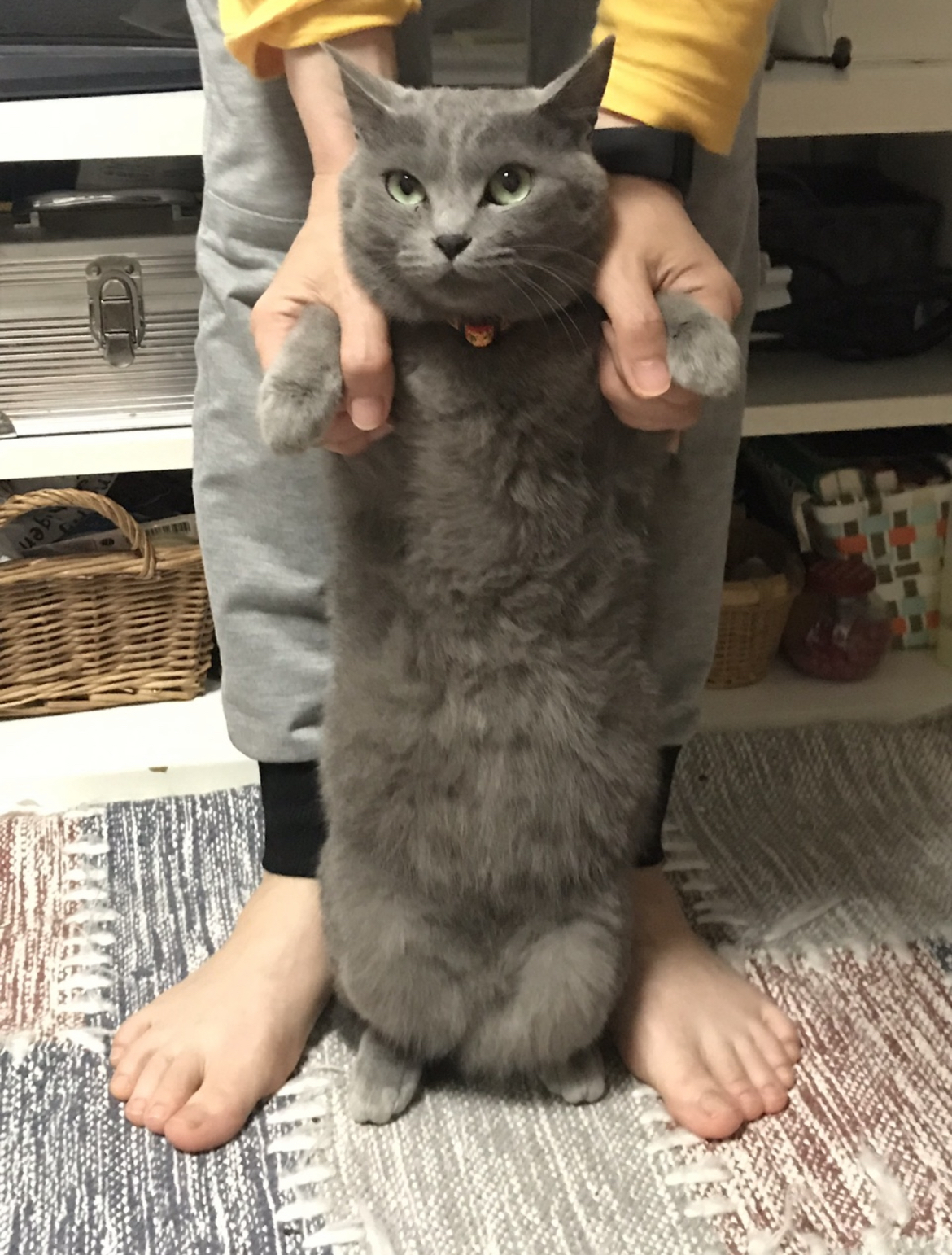 number 11